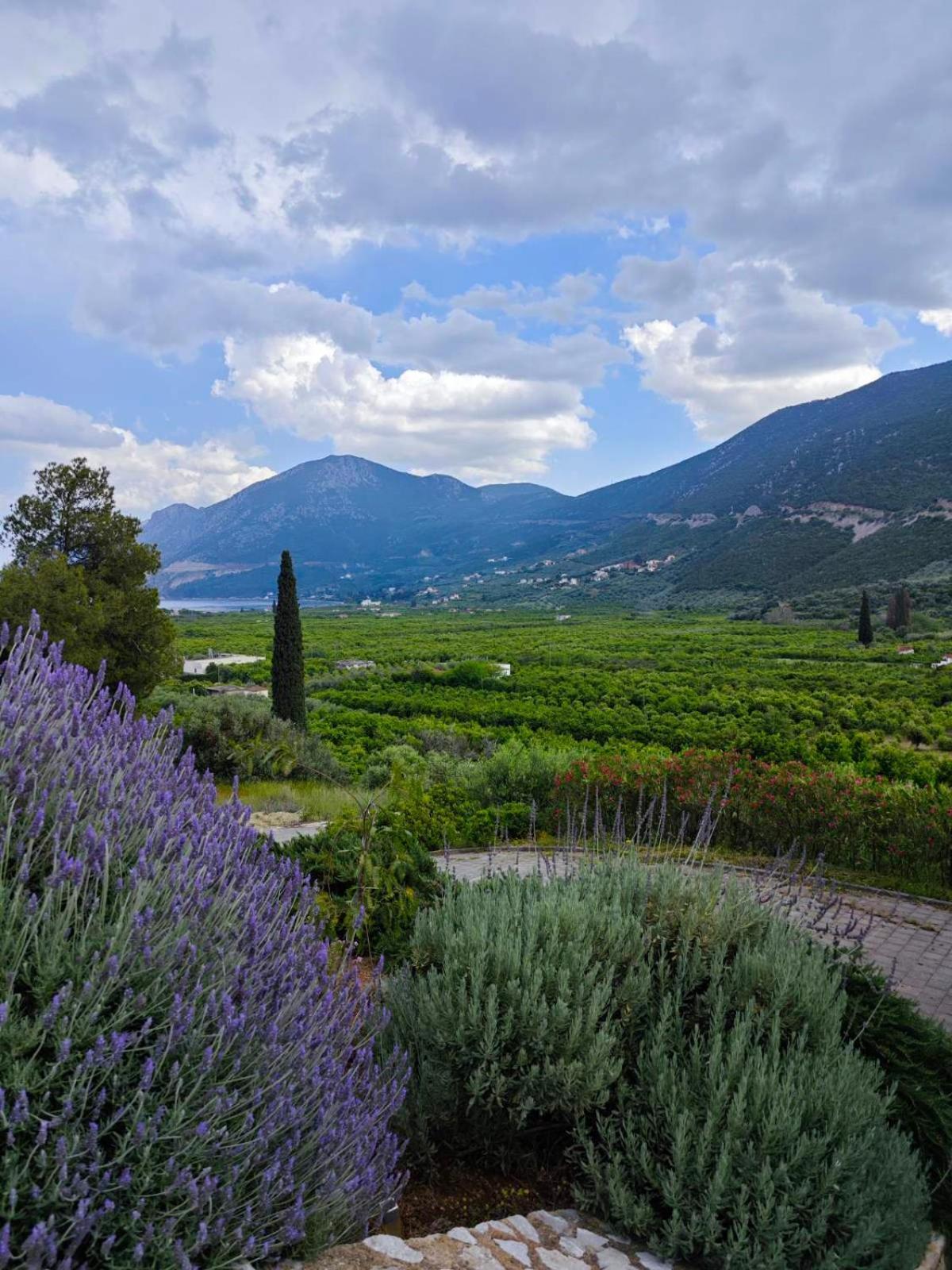 Melissafarm Guest House Epidaurus المظهر الخارجي الصورة